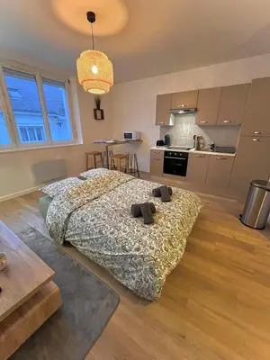 Cuisine ou kitchenette dans l'établissement La Palmeraie - T2 Saint-Nazaire