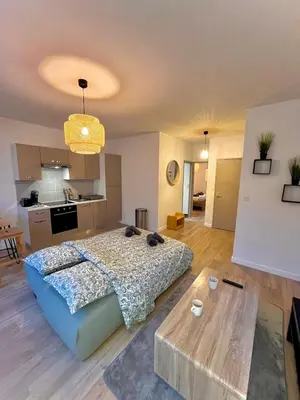 Cuisine ou kitchenette dans l'établissement La Palmeraie - T2 Saint-Nazaire
