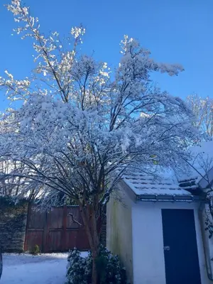 L'établissement Bienvenue dans ce charmant studio en hiver