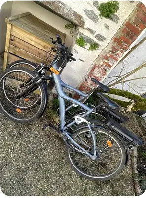 Vélo sur le terrain de l'établissement Appartement cosy ou dans les environs