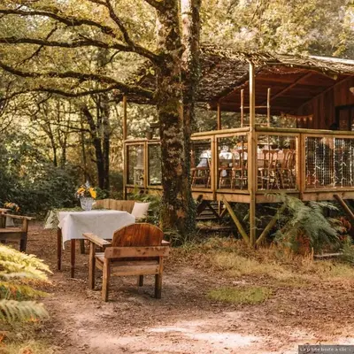 Jardin de l'établissement Domaine Chantoiseau