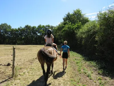 Animaux dans la maison de vacances ou à proximité