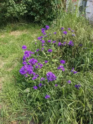 Jardin de l'établissement Loge & Broc