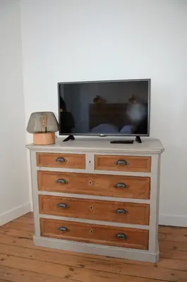 Télévision ou salle de divertissement dans l'établissement Appartements de Jules & Victoire