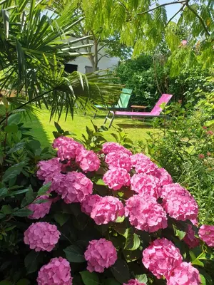 Jardin de l'établissement Chambres d'hôtes de La Roche