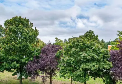 Jardin de l'établissement B&B HOTEL Nantes Parc Expos La Chapelle