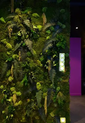Jardin de l'établissement Le Clair Obscur