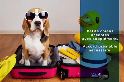 Animal ou animaux domestique(s) séjournant avec des clients dans l'établissement Studio du 104