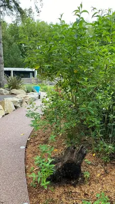 Jardin de l'établissement L'hetre