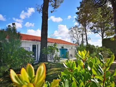 Jardin de l'établissement Vent d'Eden Park Hôtel