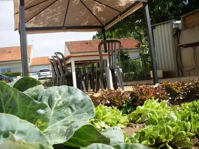 Jardin de l'établissement Gîte Beaupel