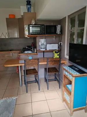 Cuisine ou kitchenette dans l'établissement Appartement T2 sur cour nantaise