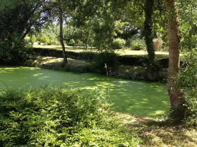 Jardin de l'établissement Gîte la peille