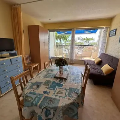 Charmant studio rénové à 50m de la plage avec terrasse et parking - FR-1-224C-82