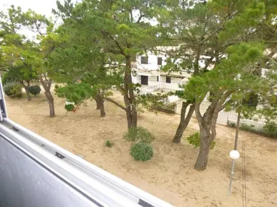 Jardin de l'établissement Appartement cosy 2 pièces à 200m de la plage, Saint-Hilaire-de-Riez - 4 couchages, parking, TV, WiFi - FR-1-224C-294