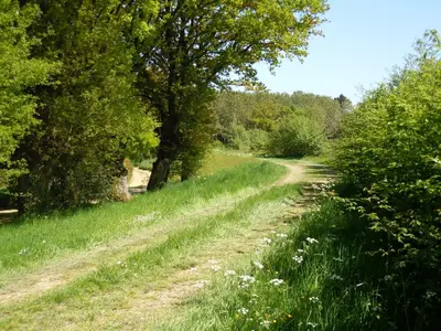 Paysage naturel près de le B&B/chambre d'hôtes