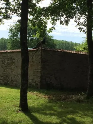 Paysage naturel près de le B&B/chambre d'hôtes