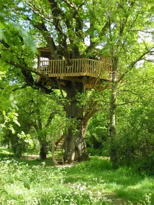 Jardin de l'établissement Cabanes et Studios à la Bernardiere