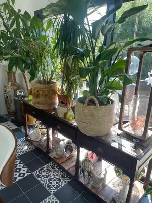 Jardin de l'établissement A la guiniere