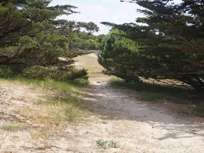 Paysage naturel près de la maison de vacances