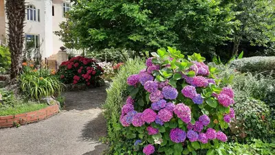 Jardin de l'établissement Hôtel De La Barbacane