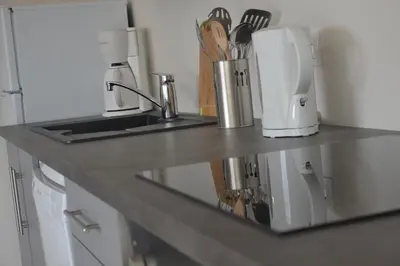 Cuisine ou kitchenette dans l'établissement Gîte au Haras