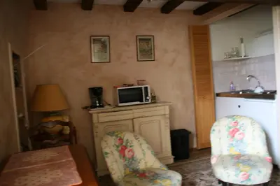 Télévision ou salle de divertissement dans l'établissement Le Loft du Grand Saulaie