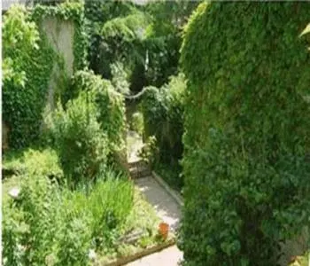 Jardin de l'établissement Lalobema