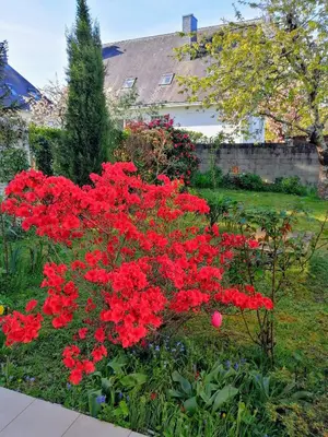 Jardin de l'établissement Chantilly