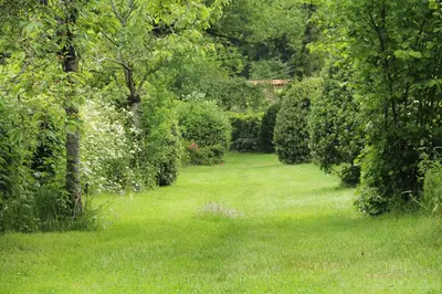 Jardin de l'établissement Domaine des Roches Blanches