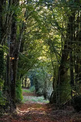Paysage naturel près de la maison de vacances