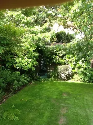 Jardin de l'établissement Agora Mijo Chambre d'Hôtes