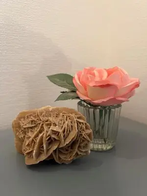 Plan de l'établissement Chambres d'hôtes La Rose Des Sables