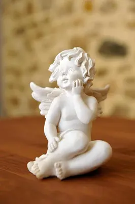 Plan de l'établissement Maison des Anges