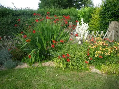 Jardin de l'établissement Les Terrasses