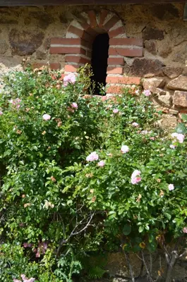 Jardin de l'établissement Gite de la Foye - La Couleur des prés