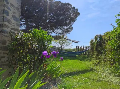 Jardin de l'établissement Gîte du Petit Gué