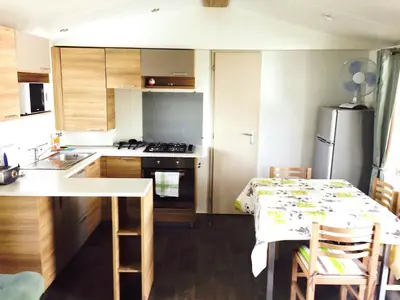 Cuisine ou kitchenette dans l'établissement Mobile home