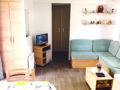 Télévision ou salle de divertissement dans l'établissement Mobile home