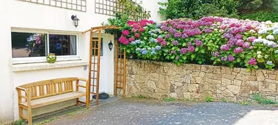 Jardin de l'établissement Gite Puydufou -5kms- La Séraphina, Chambretaud
