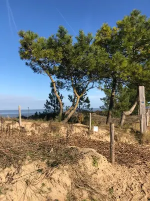 Paysage naturel près de l'appartement