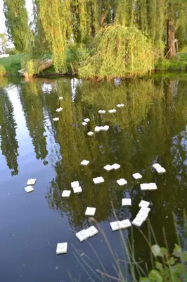 Vue sur la rivière ou le fleuve situé(e) à proximité de la maison d'hôtes