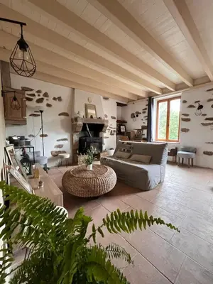 Coin salon dans l'établissement Gîte les Pieds dans l'eau 10 min du Puy du Fo