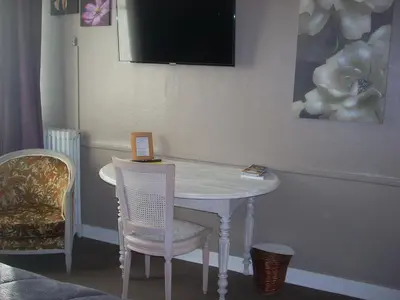 Télévision ou salle de divertissement dans l'établissement Hotel du Château