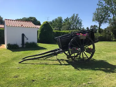 Jardin de l'établissement Domaine de la moriniere