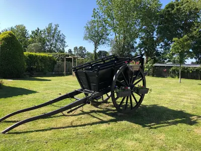Jardin de l'établissement Domaine de la moriniere