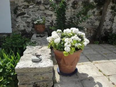 Jardin de l'établissement Le Buzet Bleu Bed & Breakfast