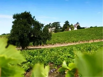 Jardin de l'établissement Domaine de la Soucherie - Chambres d'hôtes
