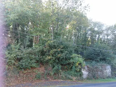 Paysage naturel près de la maison d'hôtes