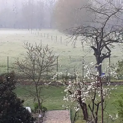 BEDLOIRE